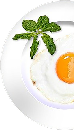 Restaurant Dubrovnik Pinneberg